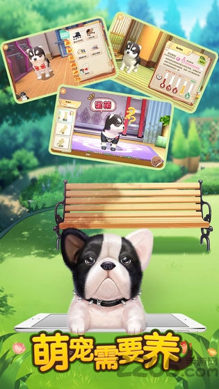 萌宠需要养游戏 萌宠需要养手游下载