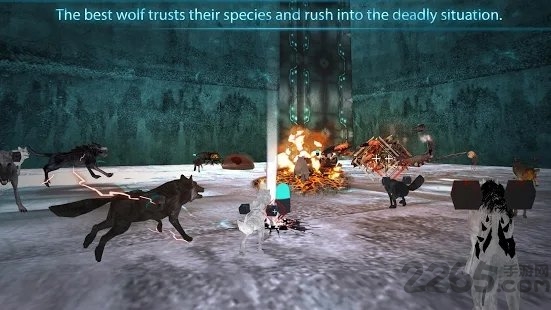 x wolf手游 x wolf最新版下载