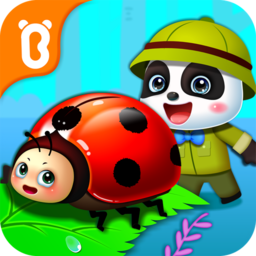 宝宝巴士奇妙昆虫日记bt版