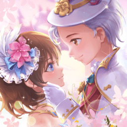 塞尔之光无敌版