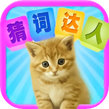 猜词达人最新版