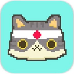 弹跳小猫最新版