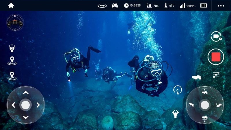 geneinno geneinno app下载