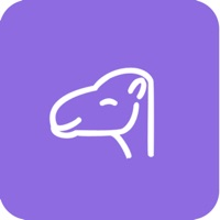 骆驼叔叔官方版