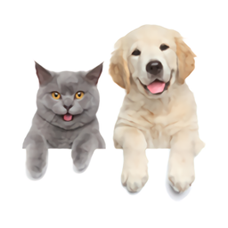 宠物运输app(又名托运宠物)