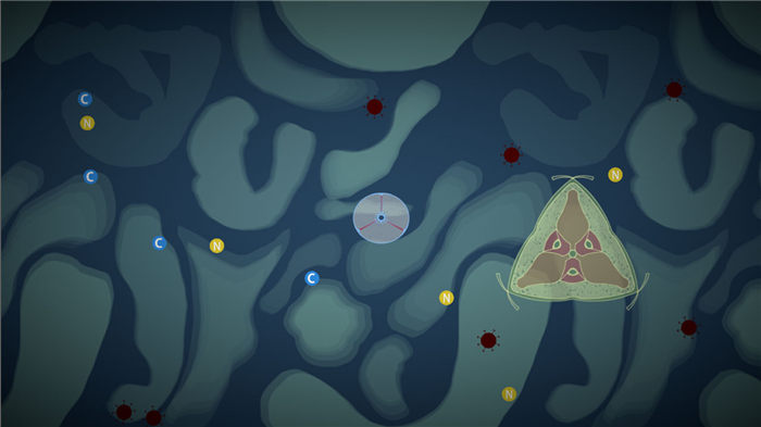 露卡超级细胞手机版 露卡超级细胞游戏下载