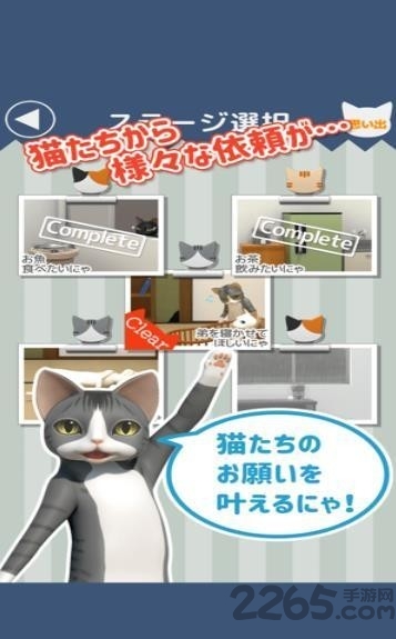 猫的仆人游戏 猫的仆人最新版下载