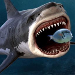 鲨鱼之王游戏(king of the fish tank)