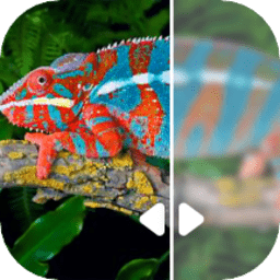 云川图片修复app