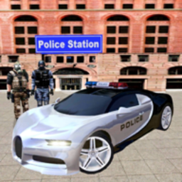 真正的警车模拟器游戏