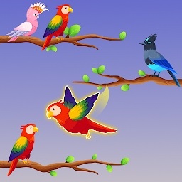 鸟类分类颜色拼图游戏(bird sort color puzzle)