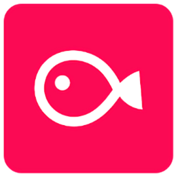 vllo视频剪辑软件