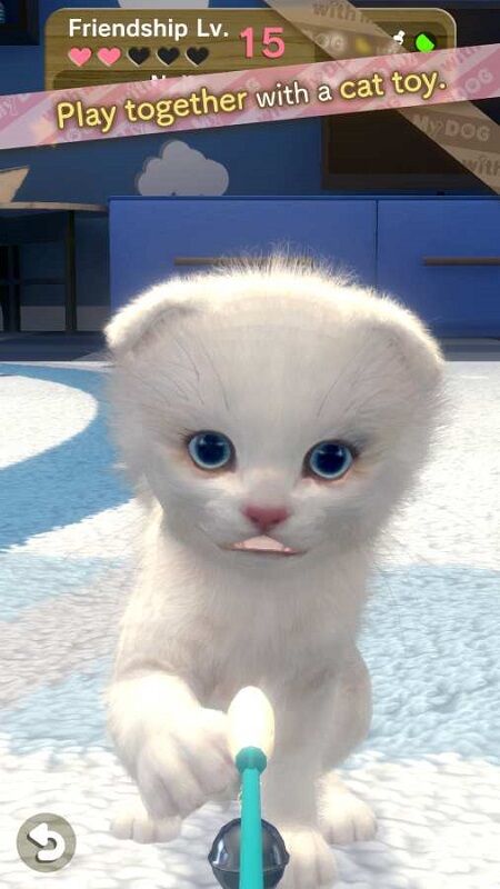 和我的猫在一起官方版 和我的猫在一起手机版