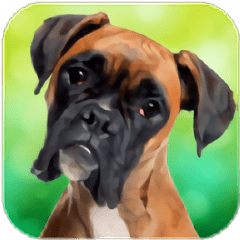 拳击手狗模拟器手游