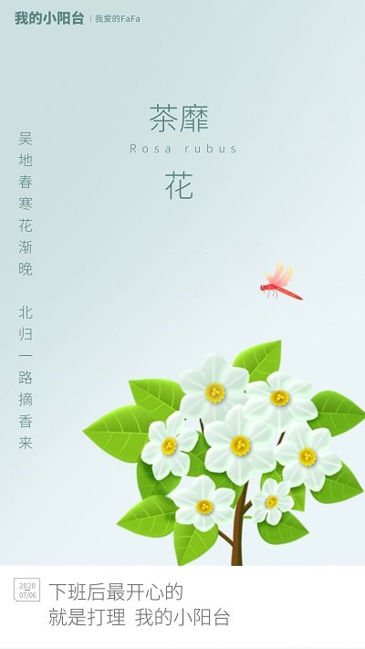 我的小阳台手机版 我的小阳台游戏下载