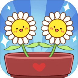 温暖小阳台手机版